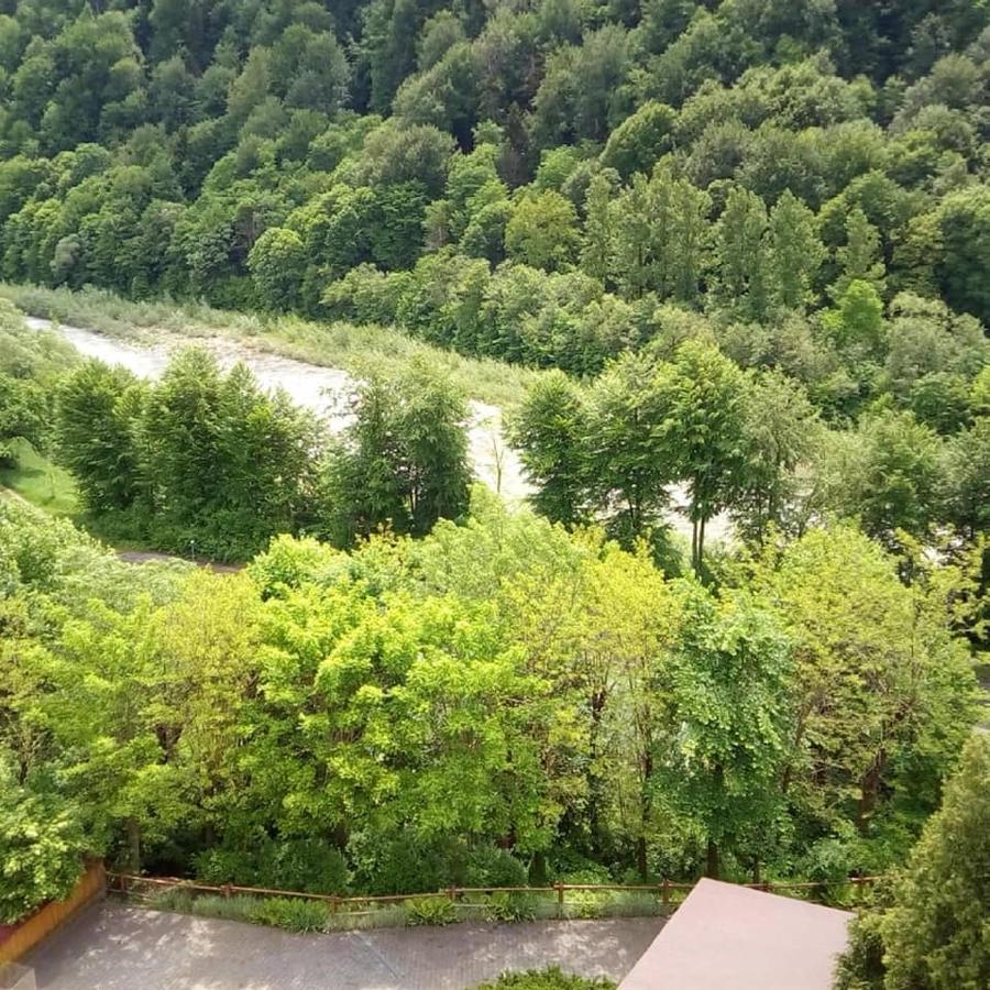 Malyvo Hotel Dilyatyn 외부 사진